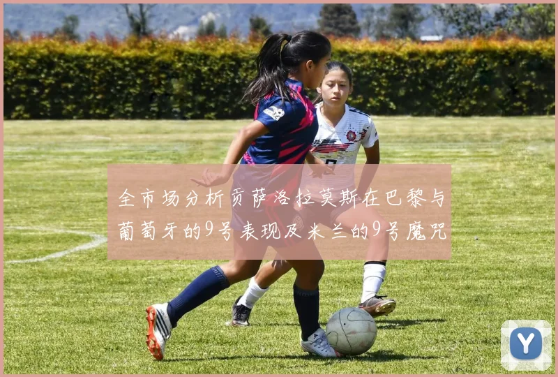全市场分析贡萨洛拉莫斯在巴黎与葡萄牙的9号表现及米兰的9号魔咒影响