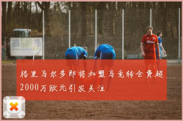 格里马尔多即将加盟马竞转会费超2000万欧元引发关注
