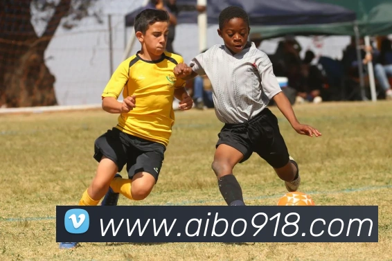 多媒体互动体验