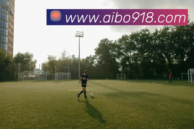 爱博体育APP 高清赛事图